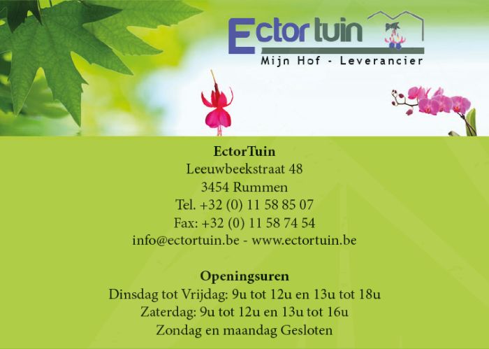Sponsor: Extortuin
